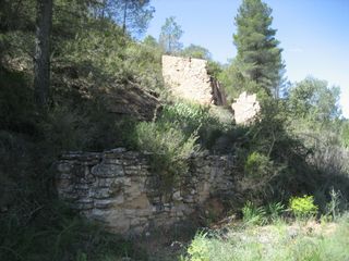 Finca rústica en Ascó. Amb masia i pou en runes Finca rústica en Ascó. Amb masia i pou en runes