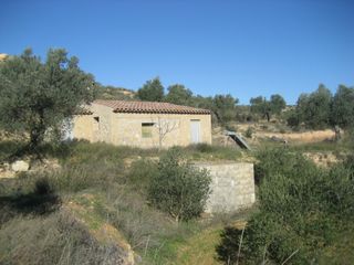 Finca rústica en Riba-roja d´Ebre. Olivers de regadiu i casetes Finca rústica en Riba-roja d´Ebre. Olivers de regadiu i casetes