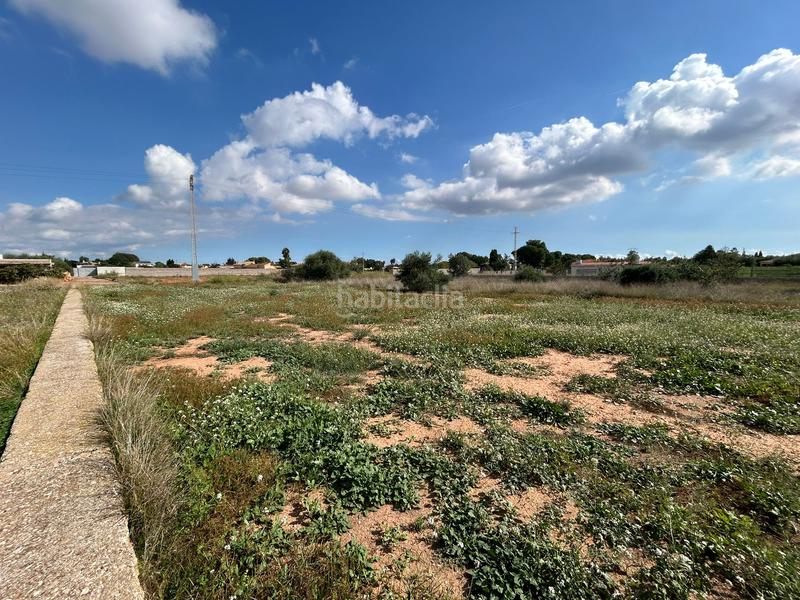 Foto 43987692-d786-4a7b-9773-895b7b2e97ee. Fondo rustico in Madrigal Villarreal / Vila - real Foto 43987692-d786-4a7b-9773-895b7b2e97ee. Fondo rustico in Madrigal Villarreal / Vila - real