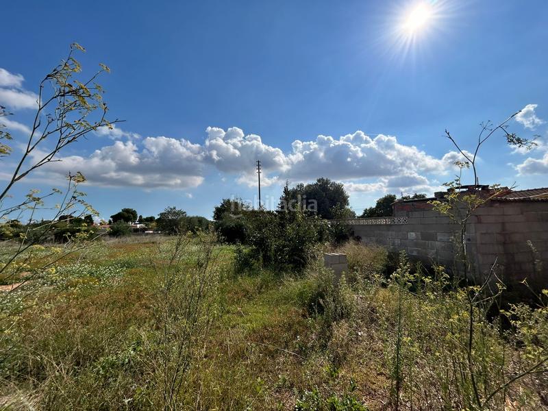 Foto 6aa3a46a-63a6-4ea1-8ad6-3aa1dfb1033c. Fondo rustico in Madrigal Villarreal / Vila - real Foto 6aa3a46a-63a6-4ea1-8ad6-3aa1dfb1033c. Fondo rustico in Madrigal Villarreal / Vila - real