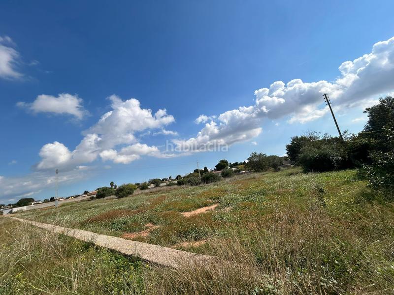 Foto f0c8a953-3b6c-454b-a479-ff1f03087a86. Fondo rustico in Madrigal Villarreal / Vila - real Foto f0c8a953-3b6c-454b-a479-ff1f03087a86. Fondo rustico in Madrigal Villarreal / Vila - real