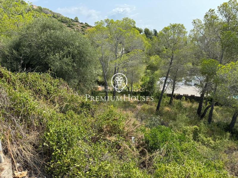 Foto 19d3f581-d1f7-4731-9d50-27b907051014. Terreno residenziale in Can Girona - Terramar - Vinyet Sitges Foto 19d3f581-d1f7-4731-9d50-27b907051014. Terreno residenziale in Can Girona - Terramar - Vinyet Sitges