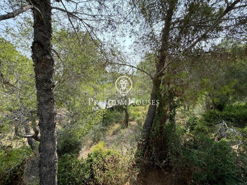 Foto 6a4ee01c-ec48-48bb-b91e-105db68ef511. Terreno residenziale in Can Girona - Terramar - Vinyet Sitges Foto 6a4ee01c-ec48-48bb-b91e-105db68ef511. Terreno residenziale in Can Girona - Terramar - Vinyet Sitges