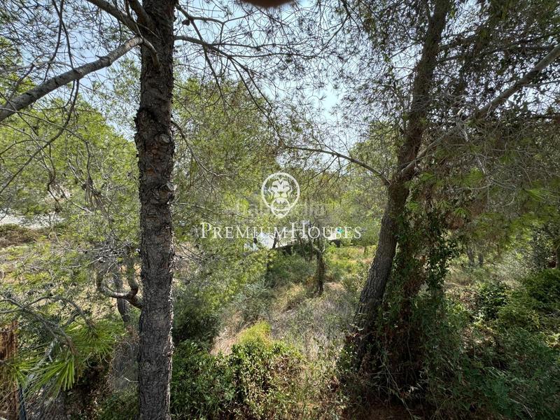Foto 90976333-1976-48c4-8f31-22e4aee13575. Terreno residenziale in Can Girona - Terramar - Vinyet Sitges Foto 90976333-1976-48c4-8f31-22e4aee13575. Terreno residenziale in Can Girona - Terramar - Vinyet Sitges