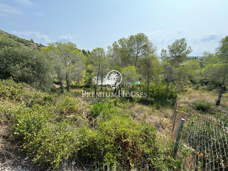 Foto d25f5a27-73b9-496a-86b3-dceee1133d5f. Terreno residenziale in Can Girona - Terramar - Vinyet Sitges Foto d25f5a27-73b9-496a-86b3-dceee1133d5f. Terreno residenziale in Can Girona - Terramar - Vinyet Sitges