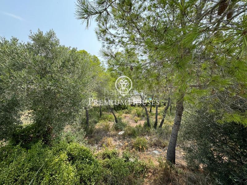 Foto e8cd04d0-2e6a-408b-ad92-b80469d4e995. Terreno residenziale in Can Girona - Terramar - Vinyet Sitges Foto e8cd04d0-2e6a-408b-ad92-b80469d4e995. Terreno residenziale in Can Girona - Terramar - Vinyet Sitges
