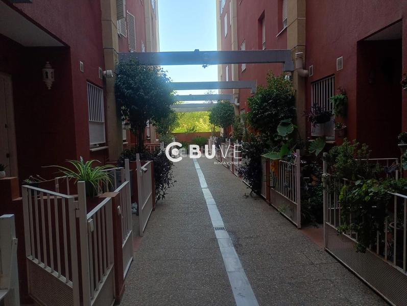 Foto d03bc316-7a02-43f2-9d42-040d918d6589. Dúplex amb aparcament piscina a Barrio Alto San Juan de Aznalfarache Foto d03bc316-7a02-43f2-9d42-040d918d6589. Dúplex amb aparcament piscina a Barrio Alto San Juan de Aznalfarache