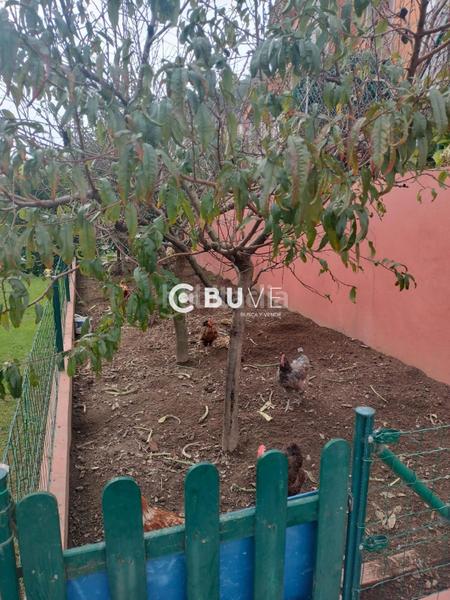 Foto 41159753-b33d-4d91-bed1-2d78337a55e5. Maison avec parking dans Población de Arroyo Foto 41159753-b33d-4d91-bed1-2d78337a55e5. Maison avec parking dans Población de Arroyo