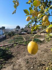 Wohngrundstück Carrer de sant llorenç. Terreno en venta totalmente llano Wohngrundstück Carrer de sant llorenç. Terreno en venta totalmente llano