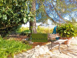 Xalet a Santa Ana. Precioso chalet a un paso de la poblacion Xalet a Santa Ana. Precioso chalet a un paso de la poblacion