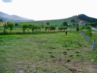 Terrain urbain Prats de talló. Terreno en prats de talló Terrain urbain Prats de talló. Terreno en prats de talló
