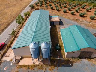 Finca rústica a Camino extrarradio 50. Terrenos rusticos de regadio en cogollos de guadix Finca rústica a Camino extrarradio 50. Terrenos rusticos de regadio en cogollos de guadix