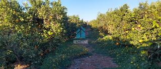 Finca rústica en El Puig. Terreno con naranjos en el puig de santa maría Finca rústica en El Puig. Terreno con naranjos en el puig de santa maría