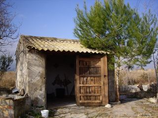 Lloguer Finca rústica Carretera nacional 332. Terreno en alquiler en oliva Lloguer Finca rústica Carretera nacional 332. Terreno en alquiler en oliva