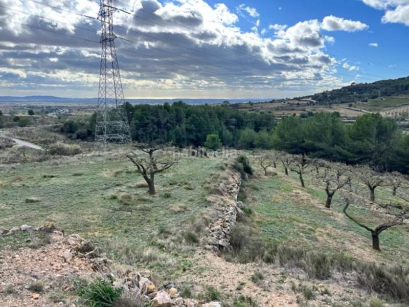 Foto 5ff895f2-8e7c-4f28-ab9a-15276d645429. Landgut in Cabra del Camp Foto 5ff895f2-8e7c-4f28-ab9a-15276d645429. Landgut in Cabra del Camp