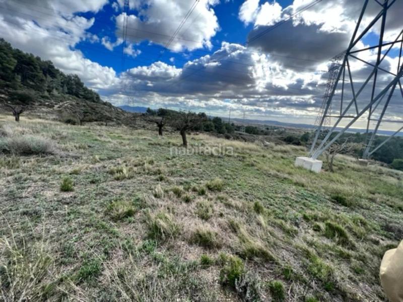 Foto 773cb5c5-c6aa-4f1f-90bf-69e05f9e82fe. Landgut in Cabra del Camp Foto 773cb5c5-c6aa-4f1f-90bf-69e05f9e82fe. Landgut in Cabra del Camp