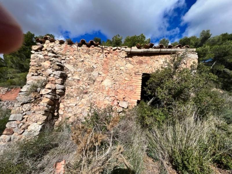 Foto 952e7900-1d66-41fc-8bab-ac492bcba0ad. Landgut in Cabra del Camp Foto 952e7900-1d66-41fc-8bab-ac492bcba0ad. Landgut in Cabra del Camp