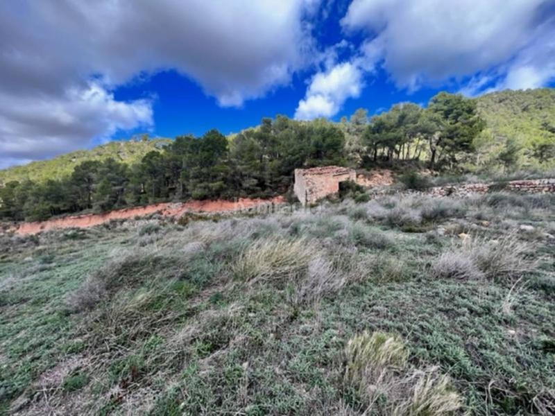 Foto 9ca53aea-f94b-4dac-88a2-a3ea48c61053. Landgut in Cabra del Camp Foto 9ca53aea-f94b-4dac-88a2-a3ea48c61053. Landgut in Cabra del Camp