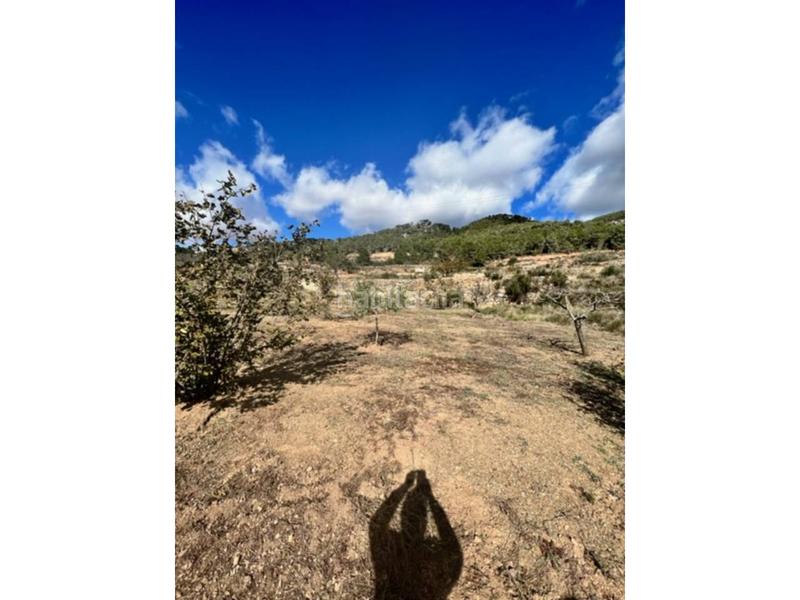 Foto 9e46d3c8-ab76-4671-a76f-921dfad41634. Landgut in Cabra del Camp Foto 9e46d3c8-ab76-4671-a76f-921dfad41634. Landgut in Cabra del Camp