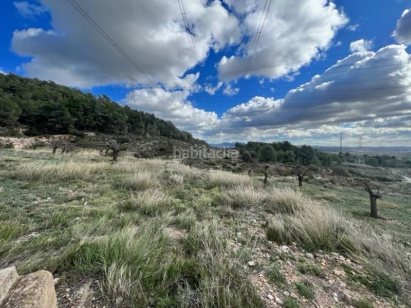 Foto c2433872-16c0-443c-a5cc-a9d1590f51d5. Landgut in Cabra del Camp Foto c2433872-16c0-443c-a5cc-a9d1590f51d5. Landgut in Cabra del Camp