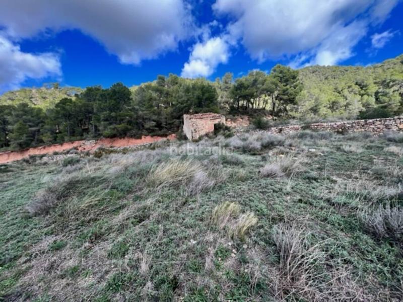 Foto d03df3ee-d505-4a06-a582-de25ee75ea13. Landgut in Cabra del Camp Foto d03df3ee-d505-4a06-a582-de25ee75ea13. Landgut in Cabra del Camp