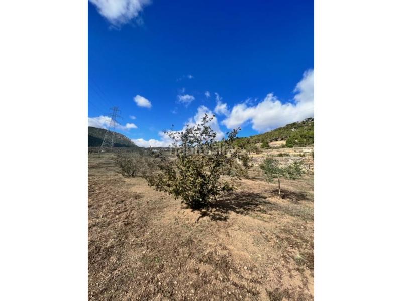 Foto d0969af9-b768-428b-a070-df1e8e18cb23. Landgut in Cabra del Camp Foto d0969af9-b768-428b-a070-df1e8e18cb23. Landgut in Cabra del Camp