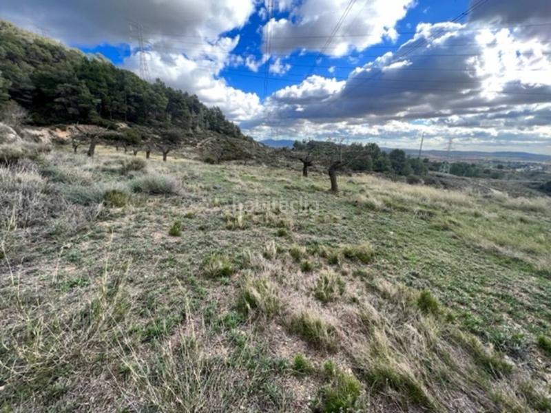 Foto e9fe3344-7887-4195-88e3-5306b4ef3f08. Landgut in Cabra del Camp Foto e9fe3344-7887-4195-88e3-5306b4ef3f08. Landgut in Cabra del Camp