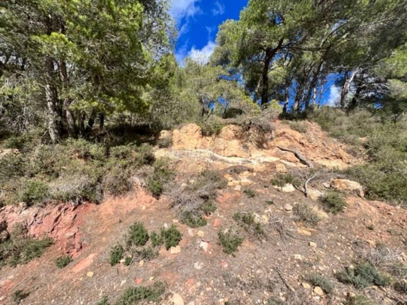 Foto efcf2138-62a5-4155-a6d8-a95e921a7490. Landgut in Cabra del Camp Foto efcf2138-62a5-4155-a6d8-a95e921a7490. Landgut in Cabra del Camp