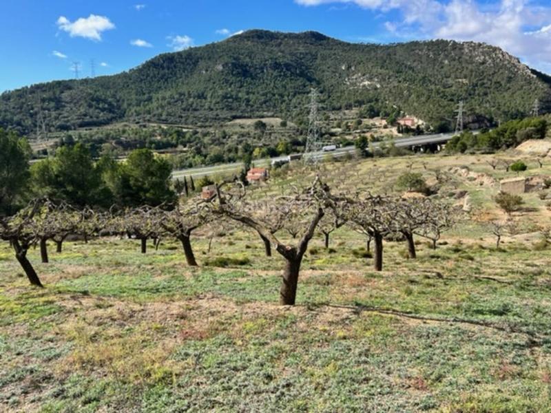 Foto 0e360e7b-96c2-4851-8b1b-26e15d43d12a. Landgut in Cabra del Camp Foto 0e360e7b-96c2-4851-8b1b-26e15d43d12a. Landgut in Cabra del Camp