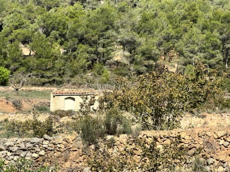 Foto 1baaaef7-b7d8-48f0-ac9a-cd8dbe7bef73. Landgut in Cabra del Camp Foto 1baaaef7-b7d8-48f0-ac9a-cd8dbe7bef73. Landgut in Cabra del Camp