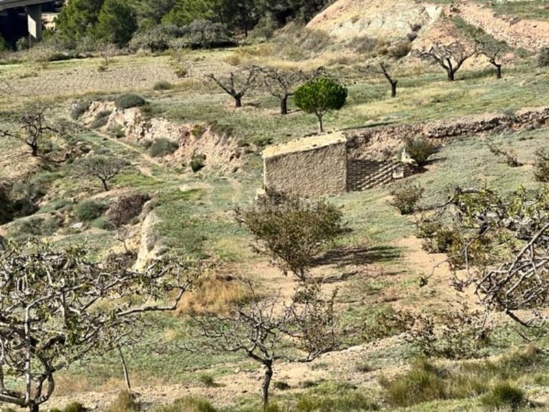 Foto 27d29336-d058-4483-8e58-6c4b872c7525. Landgut in Cabra del Camp Foto 27d29336-d058-4483-8e58-6c4b872c7525. Landgut in Cabra del Camp