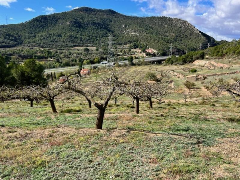 Foto 3adfb2d1-9ce7-4eee-a27f-b44a2134ce1a. Landgut in Cabra del Camp Foto 3adfb2d1-9ce7-4eee-a27f-b44a2134ce1a. Landgut in Cabra del Camp