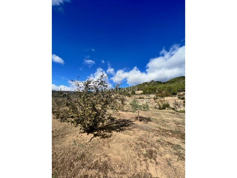 Foto 4dd93a67-102a-4485-a7ad-904b7f7bedc8. Landgut in Cabra del Camp Foto 4dd93a67-102a-4485-a7ad-904b7f7bedc8. Landgut in Cabra del Camp