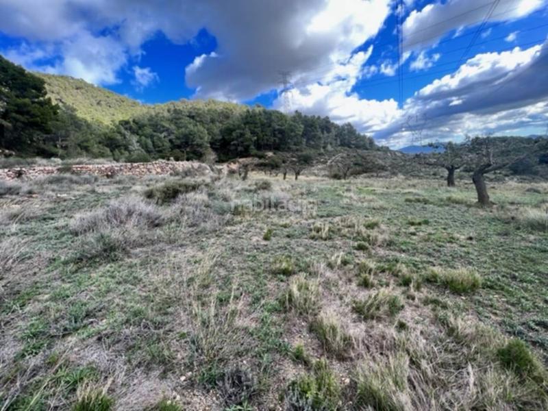 Foto 4eb1c88c-39e4-4e05-88d0-c0c98821c6a4. Landgut in Cabra del Camp Foto 4eb1c88c-39e4-4e05-88d0-c0c98821c6a4. Landgut in Cabra del Camp