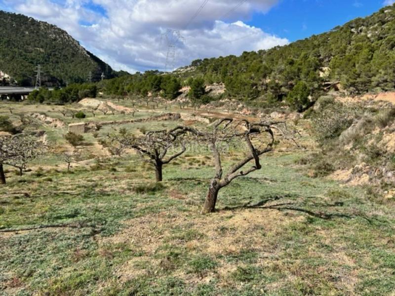 Foto 6314cd47-c5f5-4e02-a772-e2903197b0ee. Landgut in Cabra del Camp Foto 6314cd47-c5f5-4e02-a772-e2903197b0ee. Landgut in Cabra del Camp