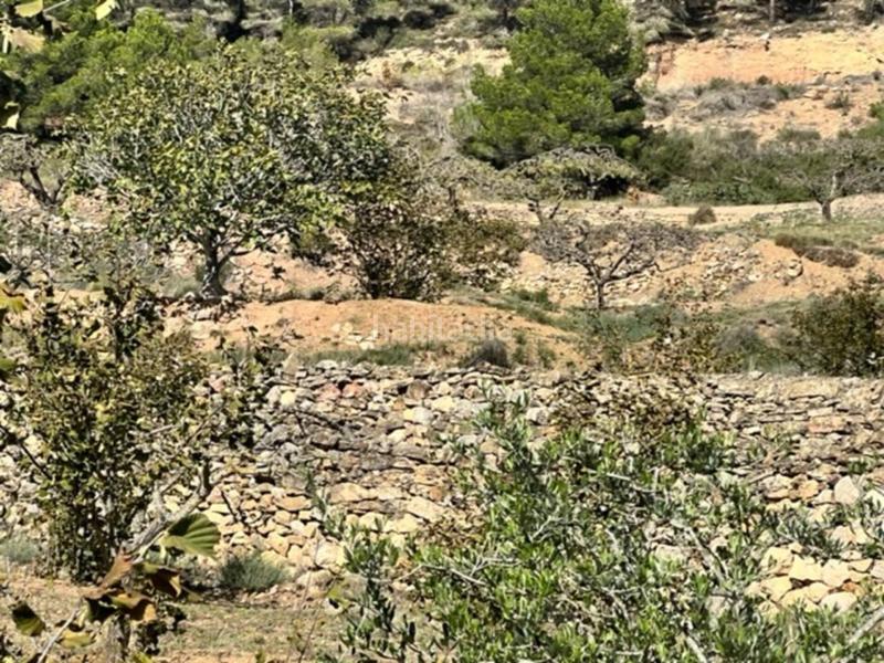 Foto 6b5c473b-0f72-413d-a313-908b0bc7d059. Landgut in Cabra del Camp Foto 6b5c473b-0f72-413d-a313-908b0bc7d059. Landgut in Cabra del Camp