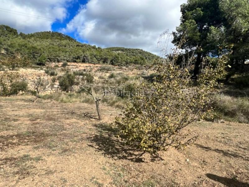 Foto 72a11653-13a9-4914-bd80-9336a273fc3e. Landgut in Cabra del Camp Foto 72a11653-13a9-4914-bd80-9336a273fc3e. Landgut in Cabra del Camp