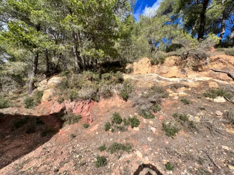 Foto 83e4079a-1394-4f64-84c1-59c89f2d7e9f. Landgut in Cabra del Camp Foto 83e4079a-1394-4f64-84c1-59c89f2d7e9f. Landgut in Cabra del Camp