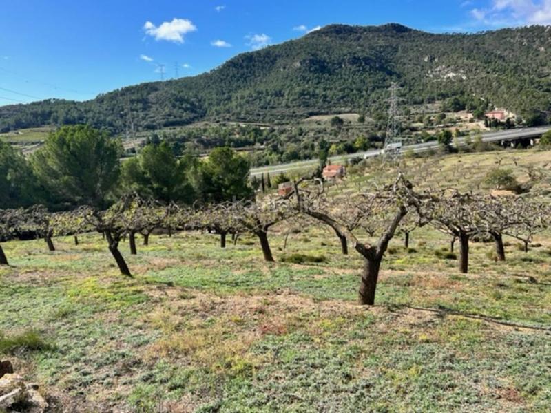 Foto 9b0a394b-9898-4a78-a880-f6ae67d22ada. Landgut in Cabra del Camp Foto 9b0a394b-9898-4a78-a880-f6ae67d22ada. Landgut in Cabra del Camp