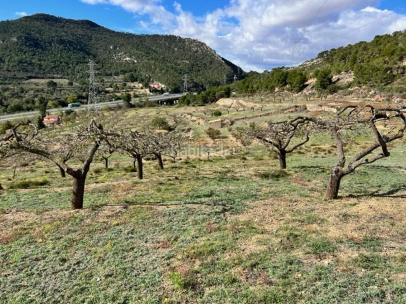 Foto b1e088a6-eef5-4f0d-9886-123848fd42c9. Landgut in Cabra del Camp Foto b1e088a6-eef5-4f0d-9886-123848fd42c9. Landgut in Cabra del Camp