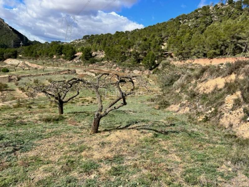 Foto b7d70c42-bdf2-4a3c-85c4-b3fc1d48193c. Landgut in Cabra del Camp Foto b7d70c42-bdf2-4a3c-85c4-b3fc1d48193c. Landgut in Cabra del Camp