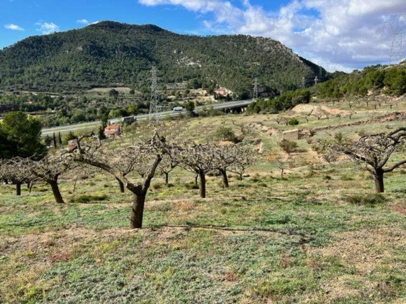 Foto b7e1f62c-2255-41c0-a4a9-9301638b4088. Landgut in Cabra del Camp Foto b7e1f62c-2255-41c0-a4a9-9301638b4088. Landgut in Cabra del Camp