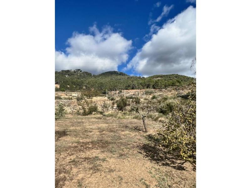 Foto bc939215-5339-4098-bd42-4fb4bced9450. Landgut in Cabra del Camp Foto bc939215-5339-4098-bd42-4fb4bced9450. Landgut in Cabra del Camp