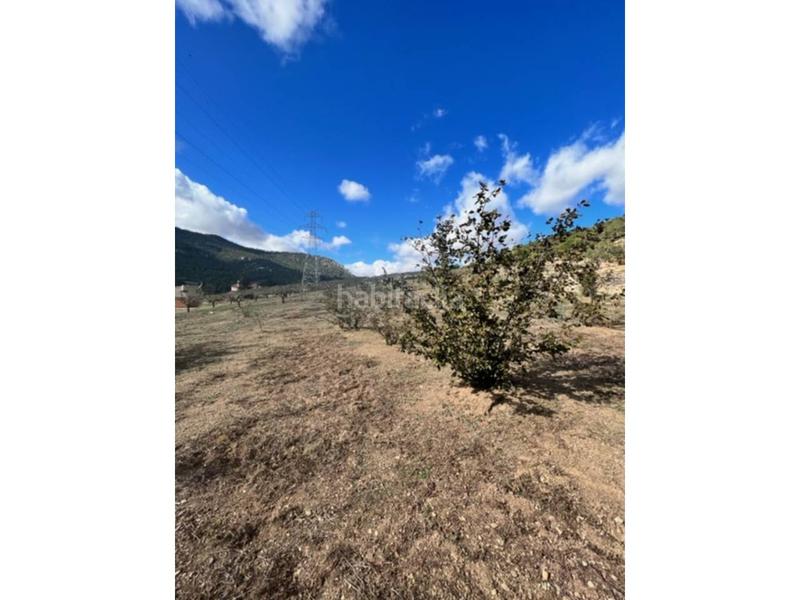 Foto c4039719-5c22-4b1c-a68b-fb5fbd9d399b. Landgut in Cabra del Camp Foto c4039719-5c22-4b1c-a68b-fb5fbd9d399b. Landgut in Cabra del Camp