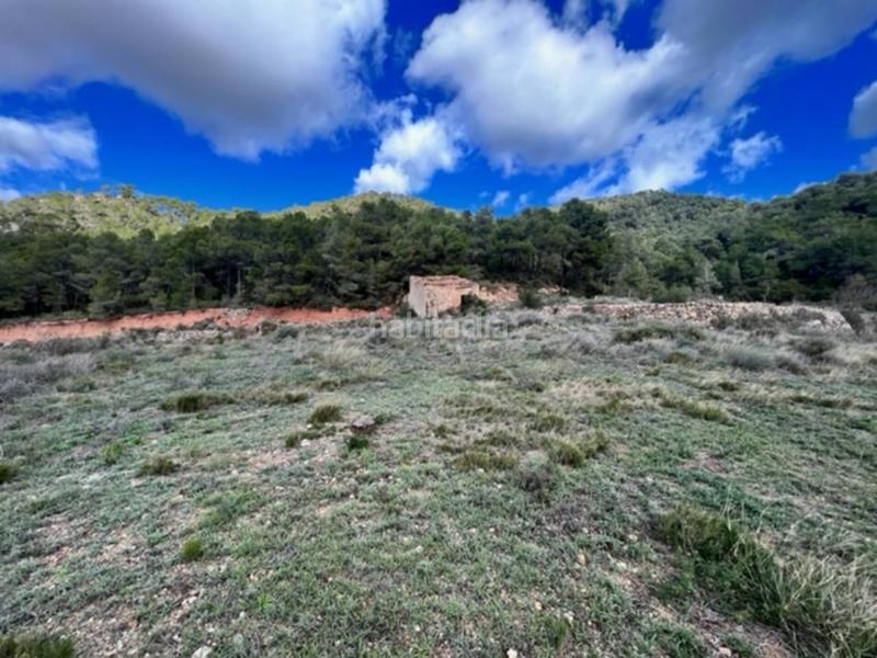 Foto cfa2f842-3a88-438b-9a81-1934c1b6f7ac. Landgut in Cabra del Camp Foto cfa2f842-3a88-438b-9a81-1934c1b6f7ac. Landgut in Cabra del Camp