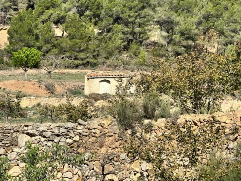 Foto d2055fc3-a806-4876-89c5-b4ed37db17cd. Landgut in Cabra del Camp Foto d2055fc3-a806-4876-89c5-b4ed37db17cd. Landgut in Cabra del Camp