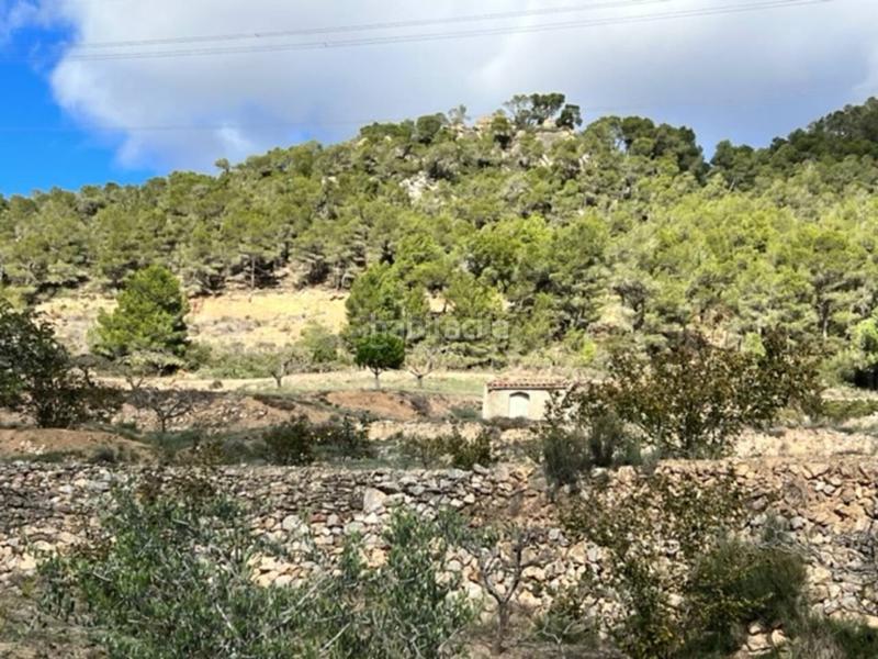 Foto ed79d2c2-0833-45b6-a6ae-2e0f3569d22f. Landgut in Cabra del Camp Foto ed79d2c2-0833-45b6-a6ae-2e0f3569d22f. Landgut in Cabra del Camp