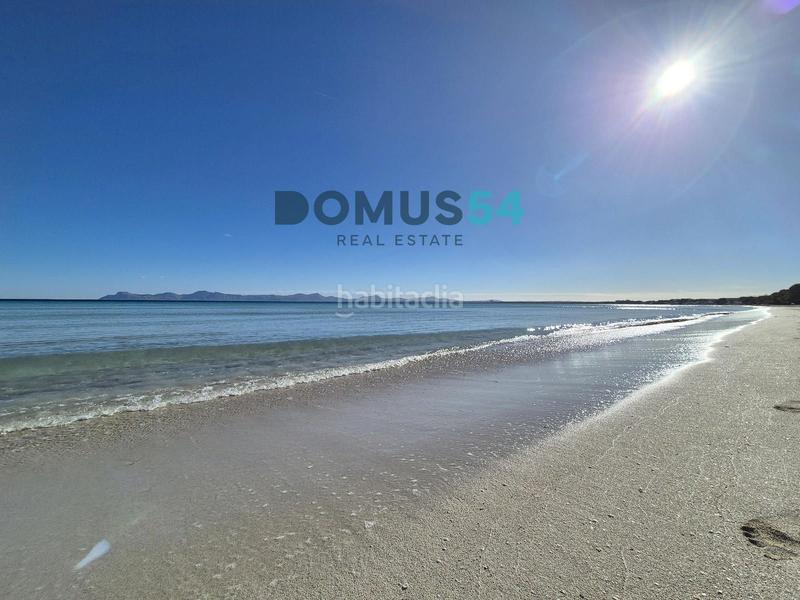 Foto 33380748-5036-44dc-a4d0-533be2850cab. Alquiler apartamento  de alquiler en puerto de alcudia en Alcúdia Foto 33380748-5036-44dc-a4d0-533be2850cab. Alquiler apartamento  de alquiler en puerto de alcudia en Alcúdia