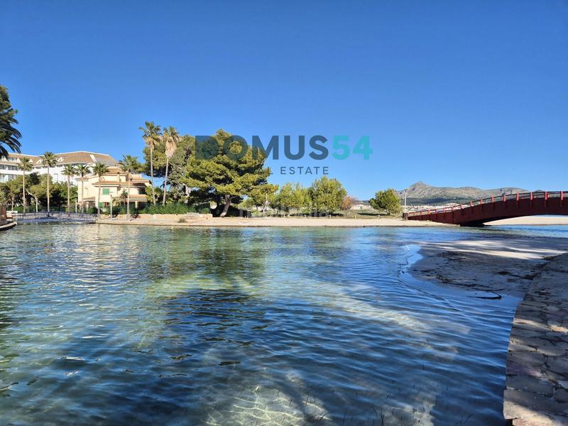 Foto 53231cbc-cae0-43ad-95c0-506df4cd5734. Alquiler apartamento  de alquiler en puerto de alcudia en Alcúdia Foto 53231cbc-cae0-43ad-95c0-506df4cd5734. Alquiler apartamento  de alquiler en puerto de alcudia en Alcúdia