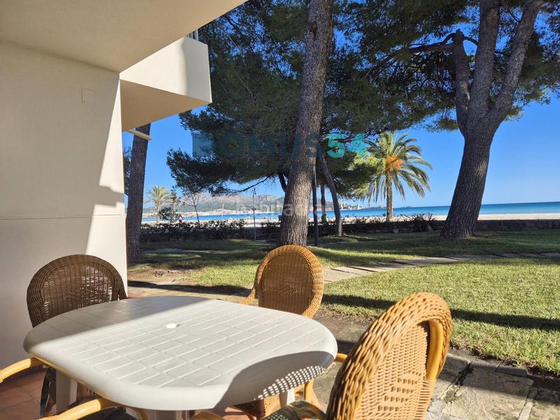 Foto 695e2a58-81d4-401d-89e1-32717e86d3c6. Alquiler apartamento  de alquiler en puerto de alcudia en Alcúdia Foto 695e2a58-81d4-401d-89e1-32717e86d3c6. Alquiler apartamento  de alquiler en puerto de alcudia en Alcúdia